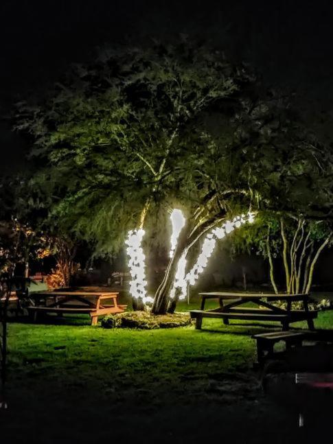 Top Of The Hill Rv Resort & Cabins Waring Luaran gambar